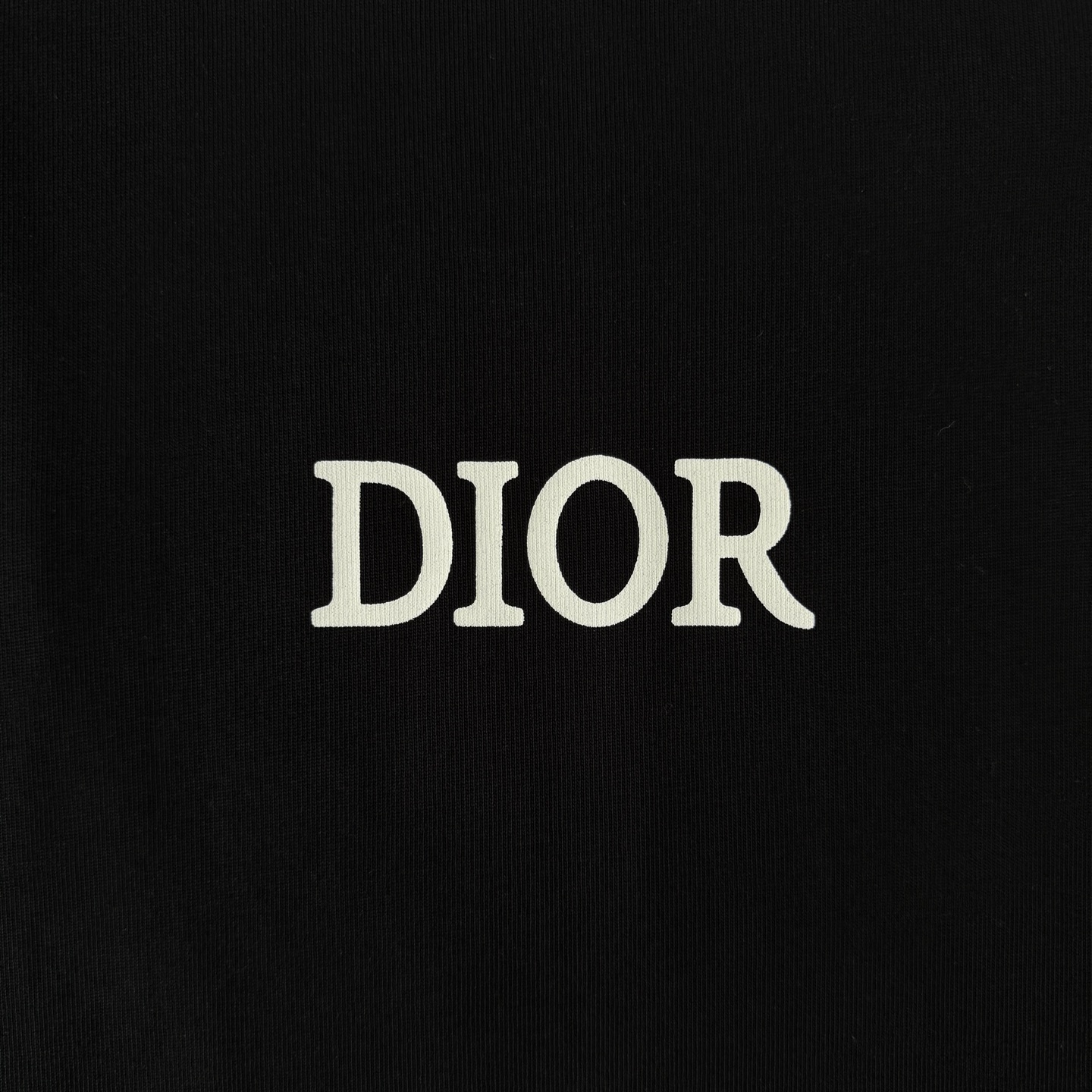 Dior DIOR/迪奥 高品质320克圆领短袖T恤