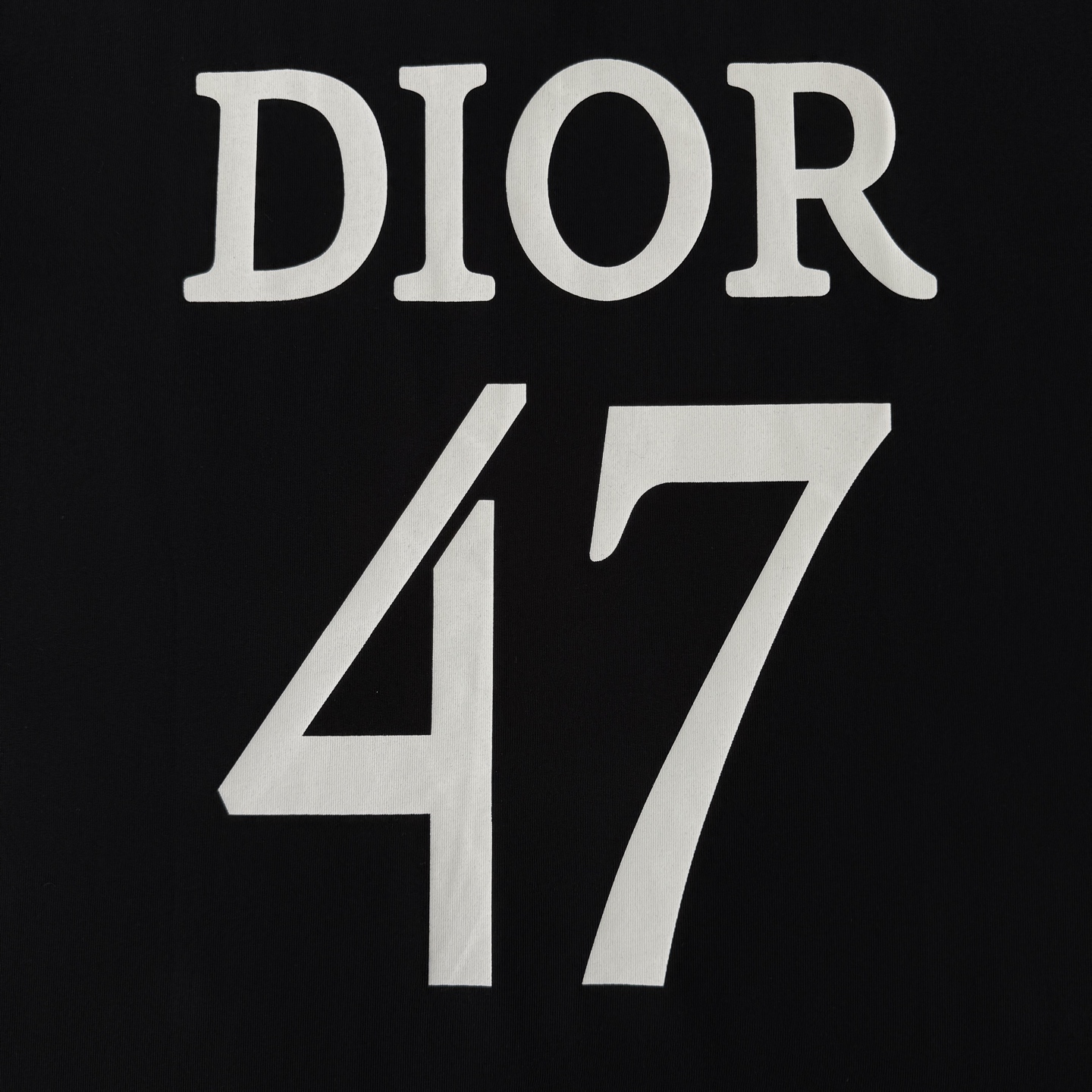 Dior DIOR/迪奥 高品质320克圆领短袖T恤