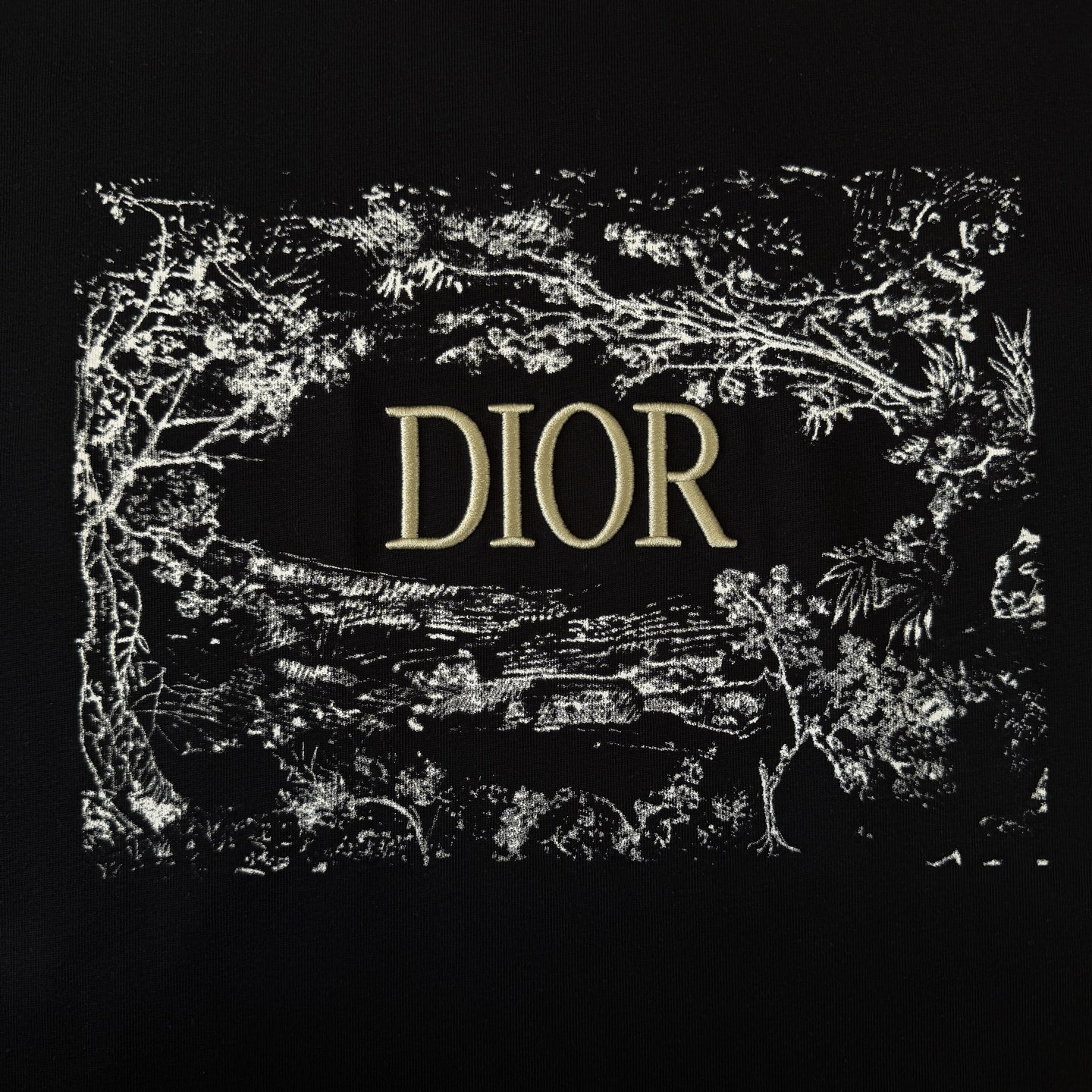 Dior DIOR/迪奥 高品质320克圆领短袖T恤