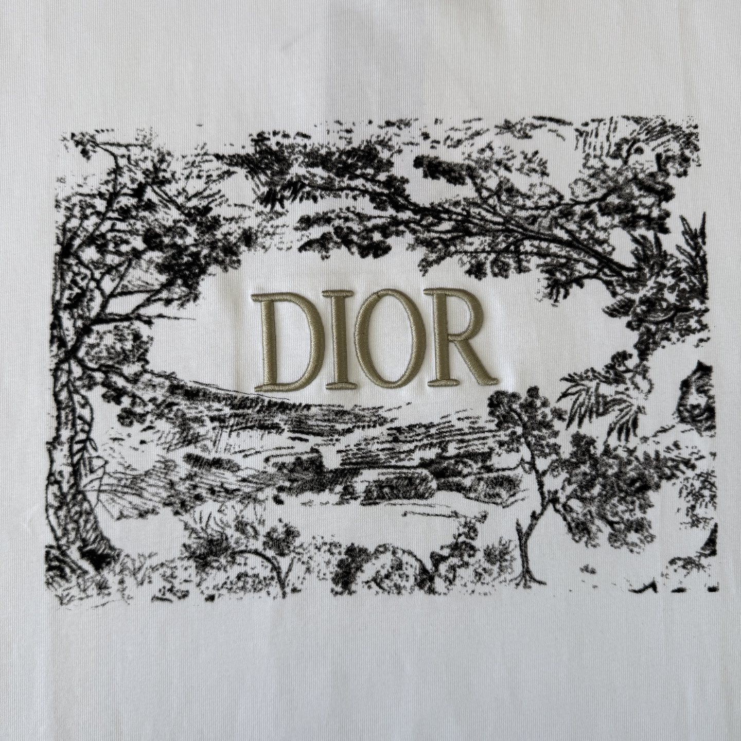 Dior DIOR/迪奥 高品质320克圆领短袖T恤