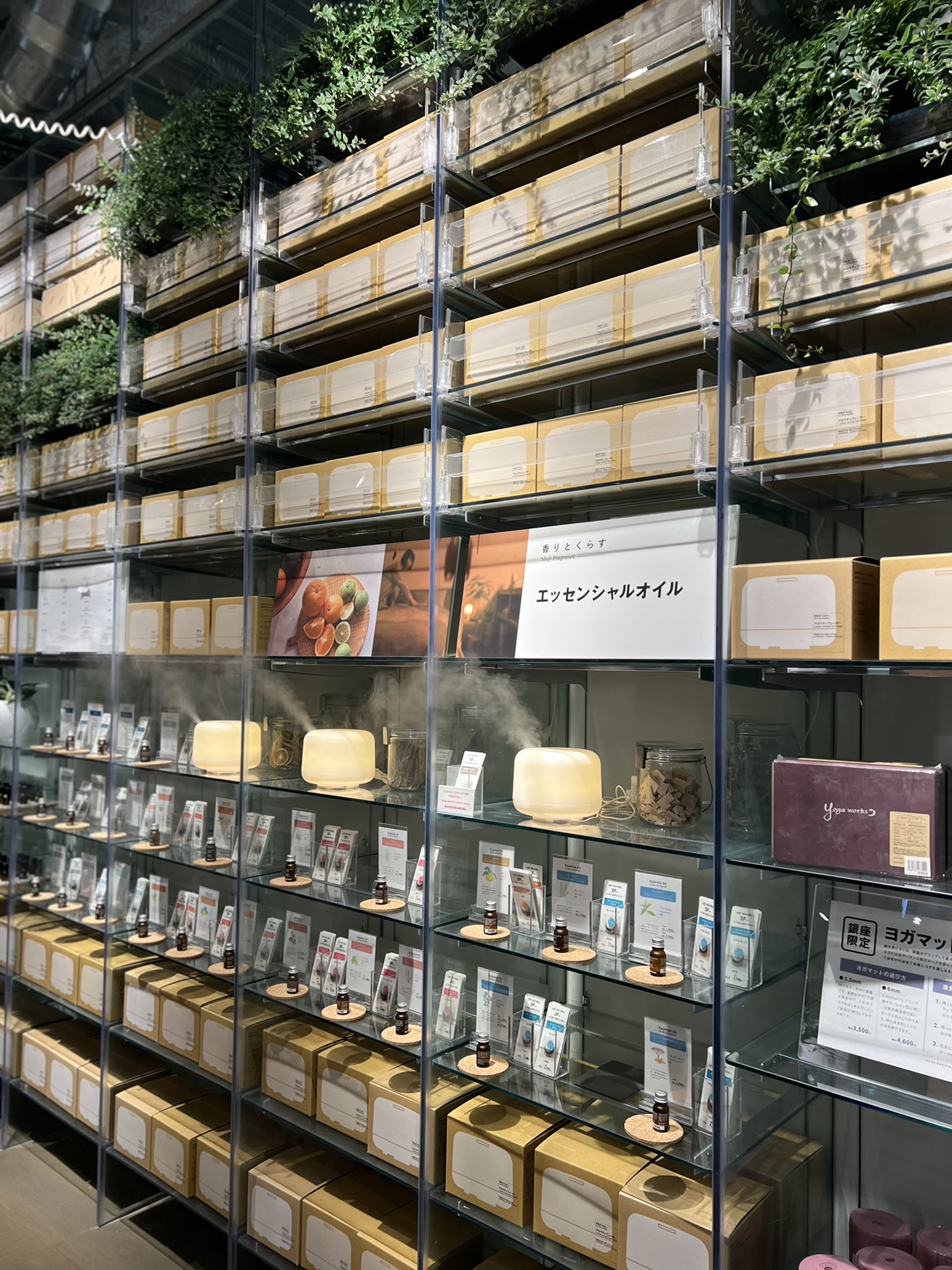 **MUJI Aroma Diffuser & Humidifier** - Comprehensive 3