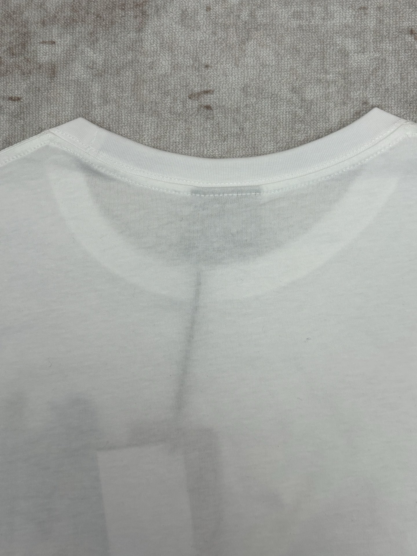 Dior 迪奥 26ss新款 T恤饰以 Dior Blason 图案刺绣