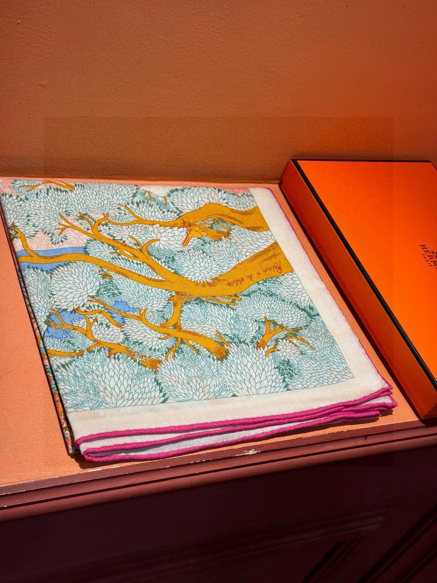 爱马仕~秋冬搭配利器❗️顶级双面同色 版真丝羊绒披肩!!1条等于2条】点睛精彩,图案和配色都超级喜欢,又