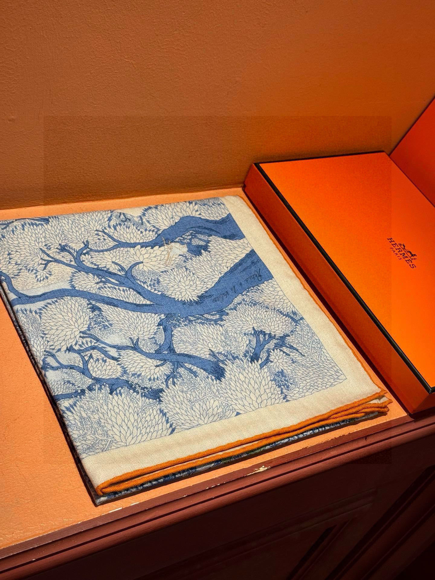 爱马仕～秋冬搭配利器❗️顶级双面同色 版真丝羊绒披肩！！1条等于2条】点睛精彩，图案和配色都超级喜欢，又