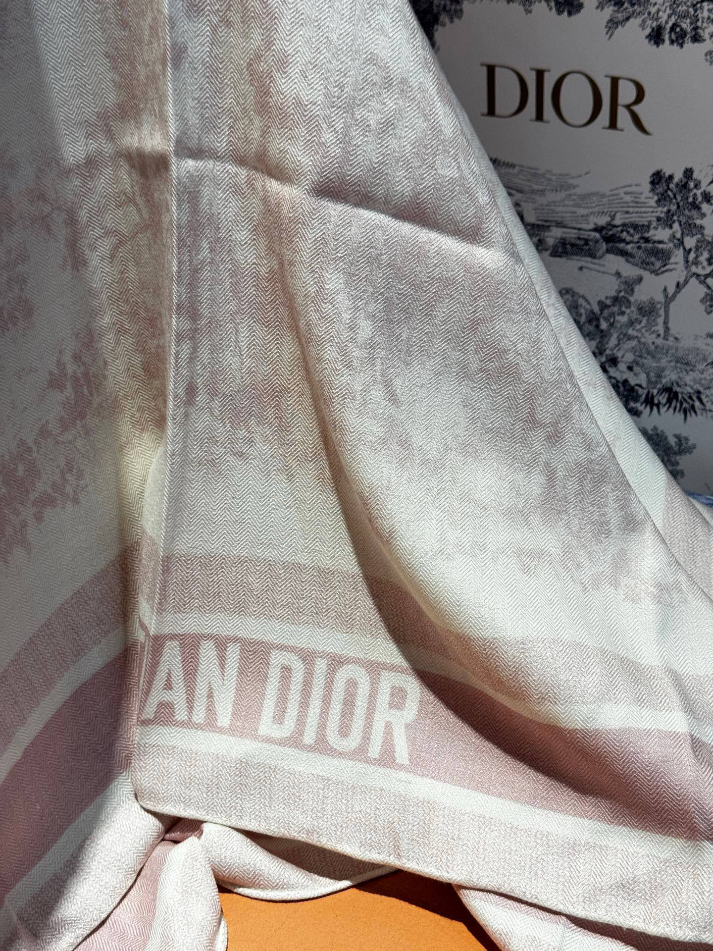 上新❤️ 𝐃𝐈𝐎𝐑 2025早春新款 《茹伊丛手绘方巾》size：110x110 cm 【双面同色丝绒方