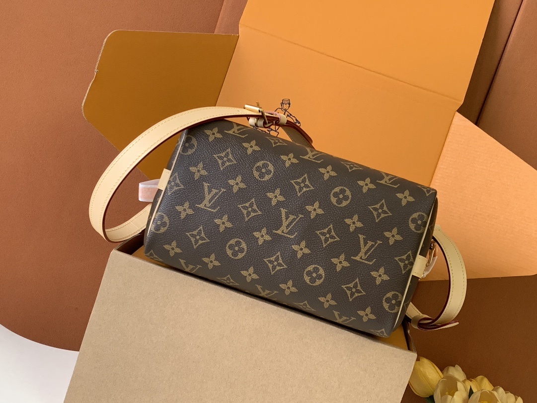 🔝SPEEDY BANDOULIÈRE 枕头包🔝(升级专柜同步电子变码芯片)163C01型号:25cm