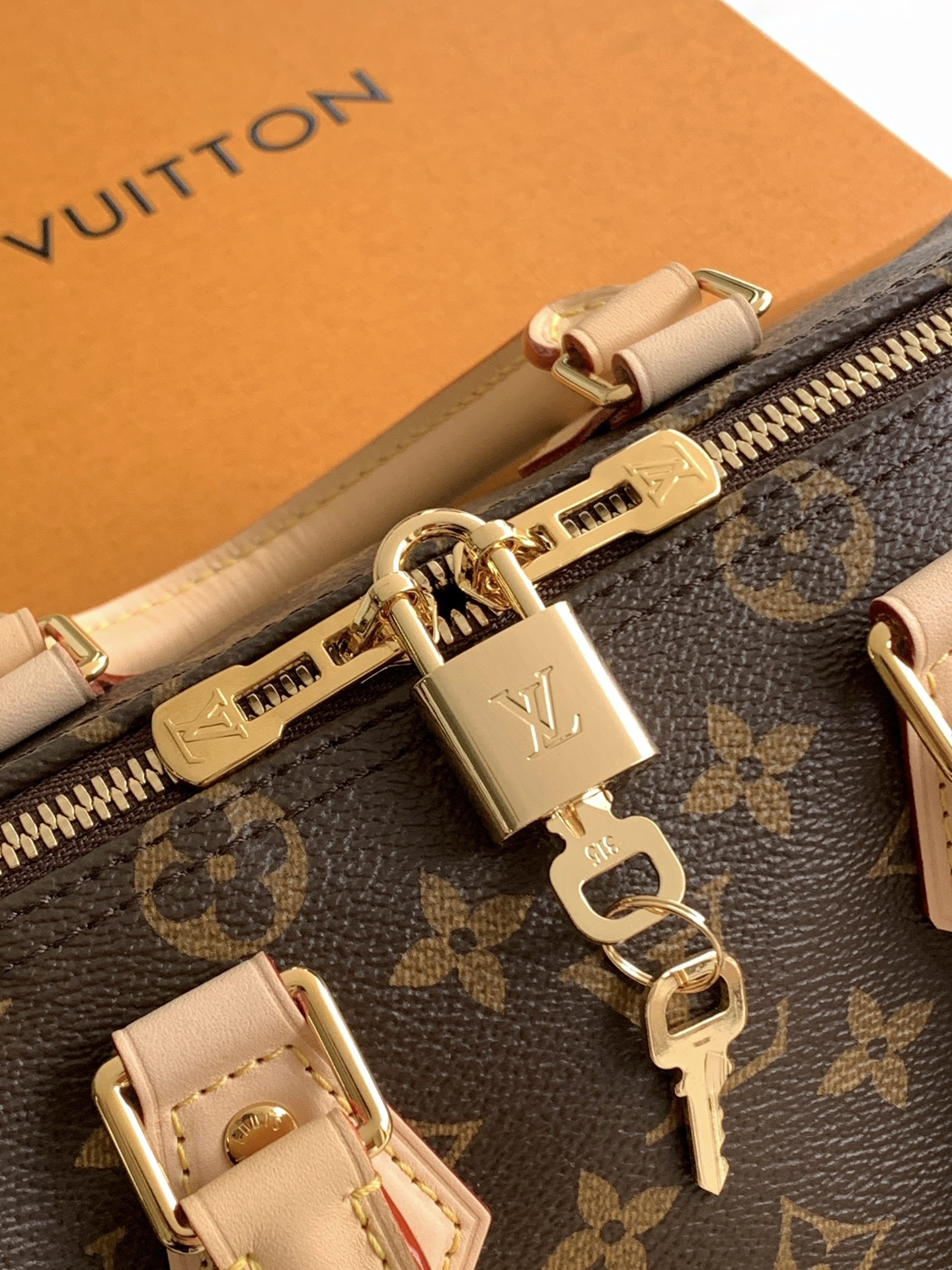 🔝SPEEDY BANDOULIÈRE 枕头包🔝(升级专柜同步电子变码芯片)163C01型号:25cm