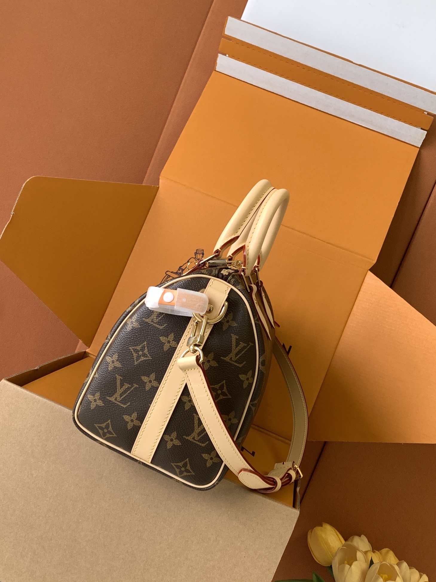 🔝SPEEDY BANDOULIÈRE 枕头包🔝(升级专柜同步电子变码芯片)163C01型号:25cm