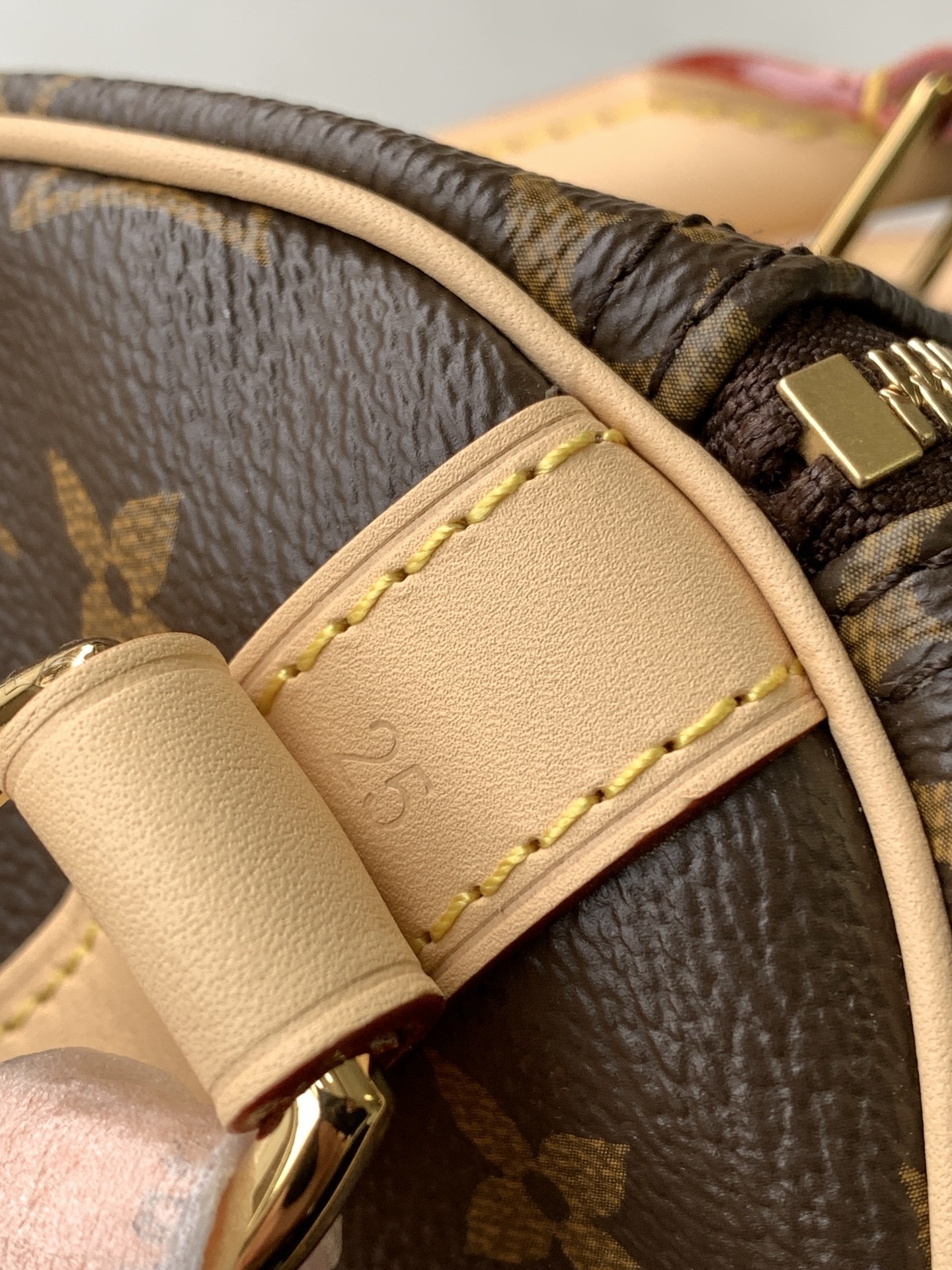 🔝SPEEDY BANDOULIÈRE 枕头包🔝(升级专柜同步电子变码芯片)163C01型号:25cm