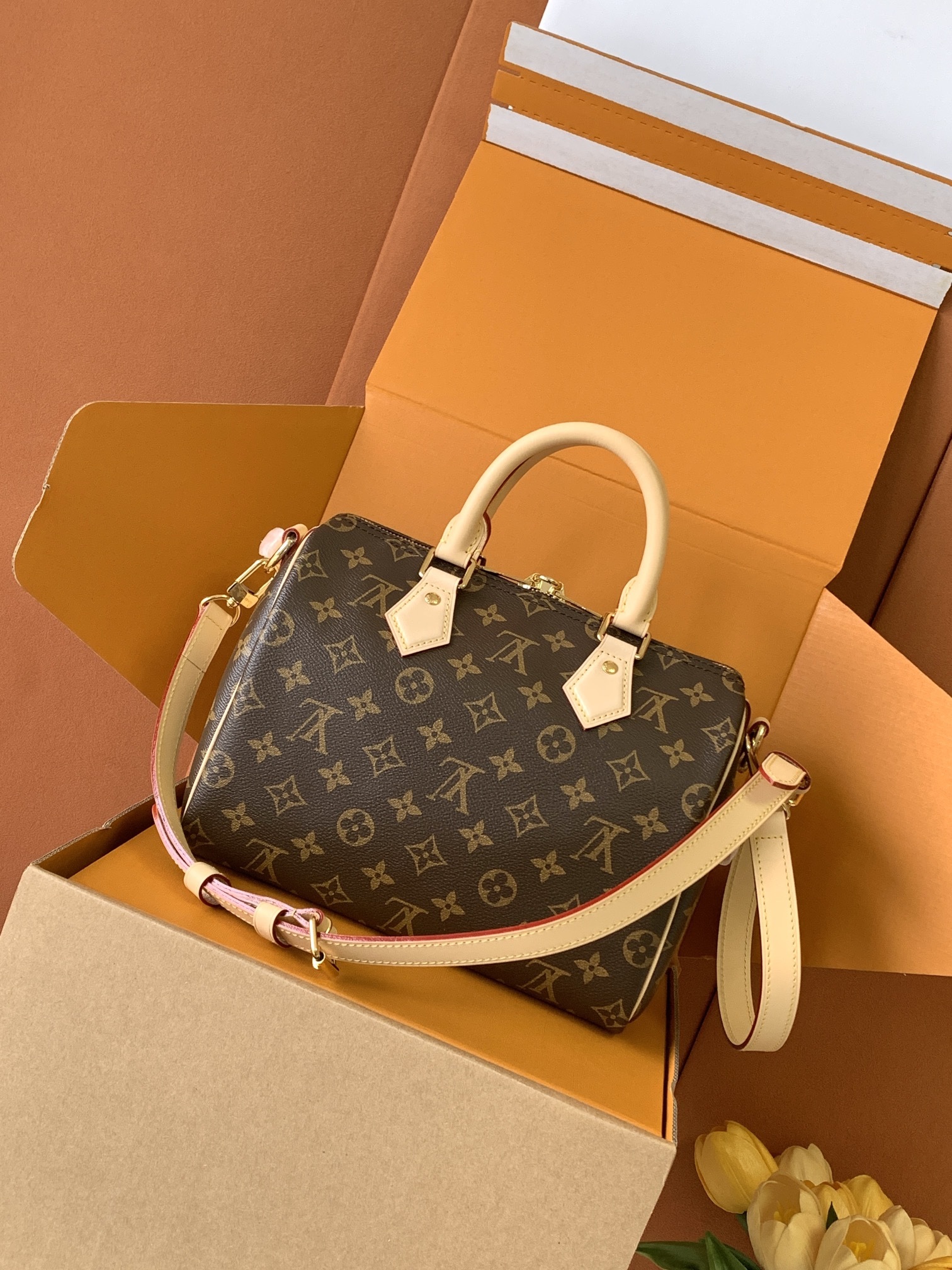 🔝SPEEDY BANDOULIÈRE 枕头包🔝(升级专柜同步电子变码芯片)163C01型号:25cm