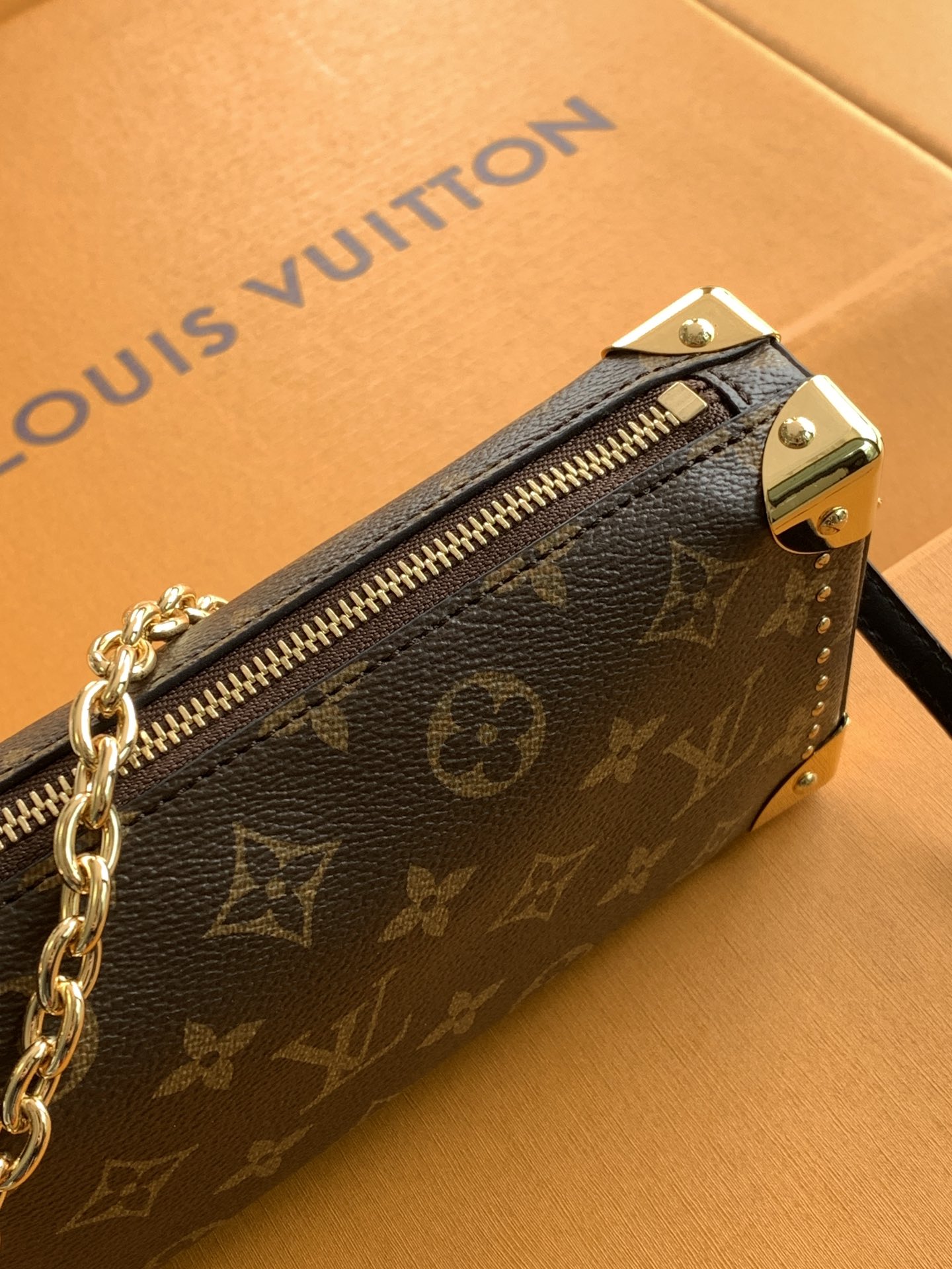 Louis Vuitton 全钢 M13147 SlimTrunk手袋以优雅之姿亮相2025 Cruise早春秀场