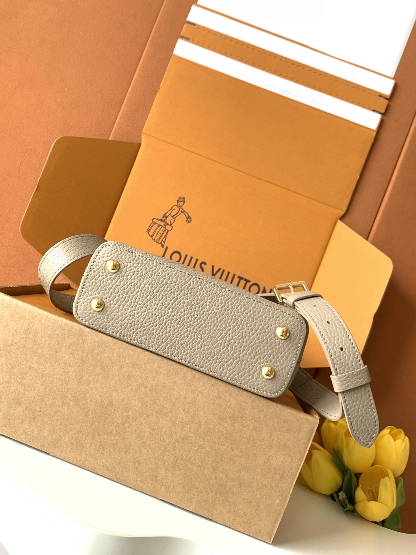 N85516特级全钢 灰色配亮光蟒蛇金动态163 2024 夏季款 Capucines 迷你手袋取材 T