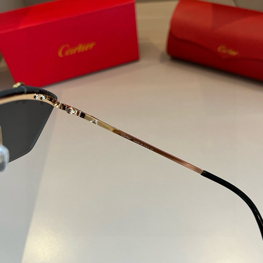 Cartier-zonnebril ¥ — photo 8