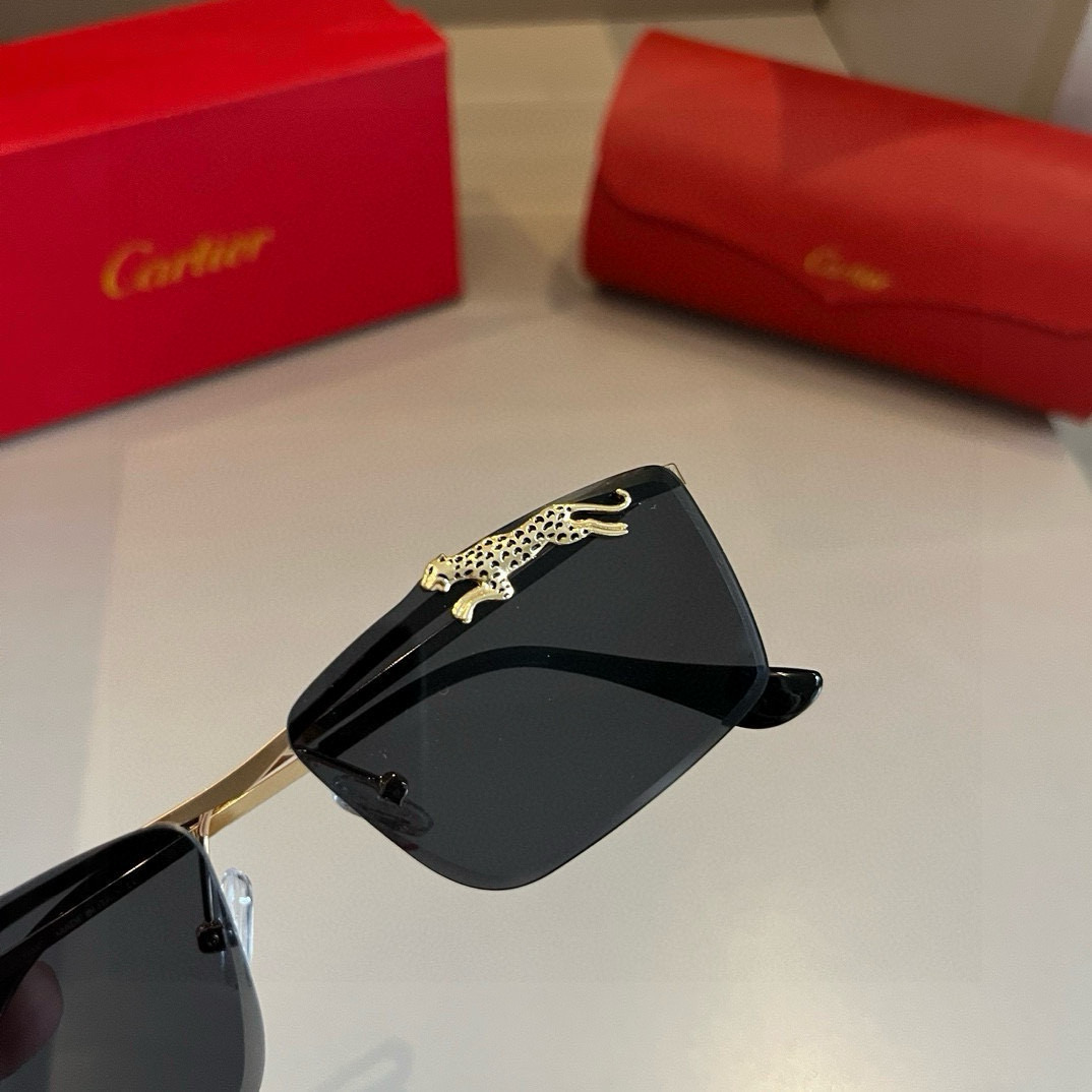 Cartier-zonnebril ¥ — photo 6