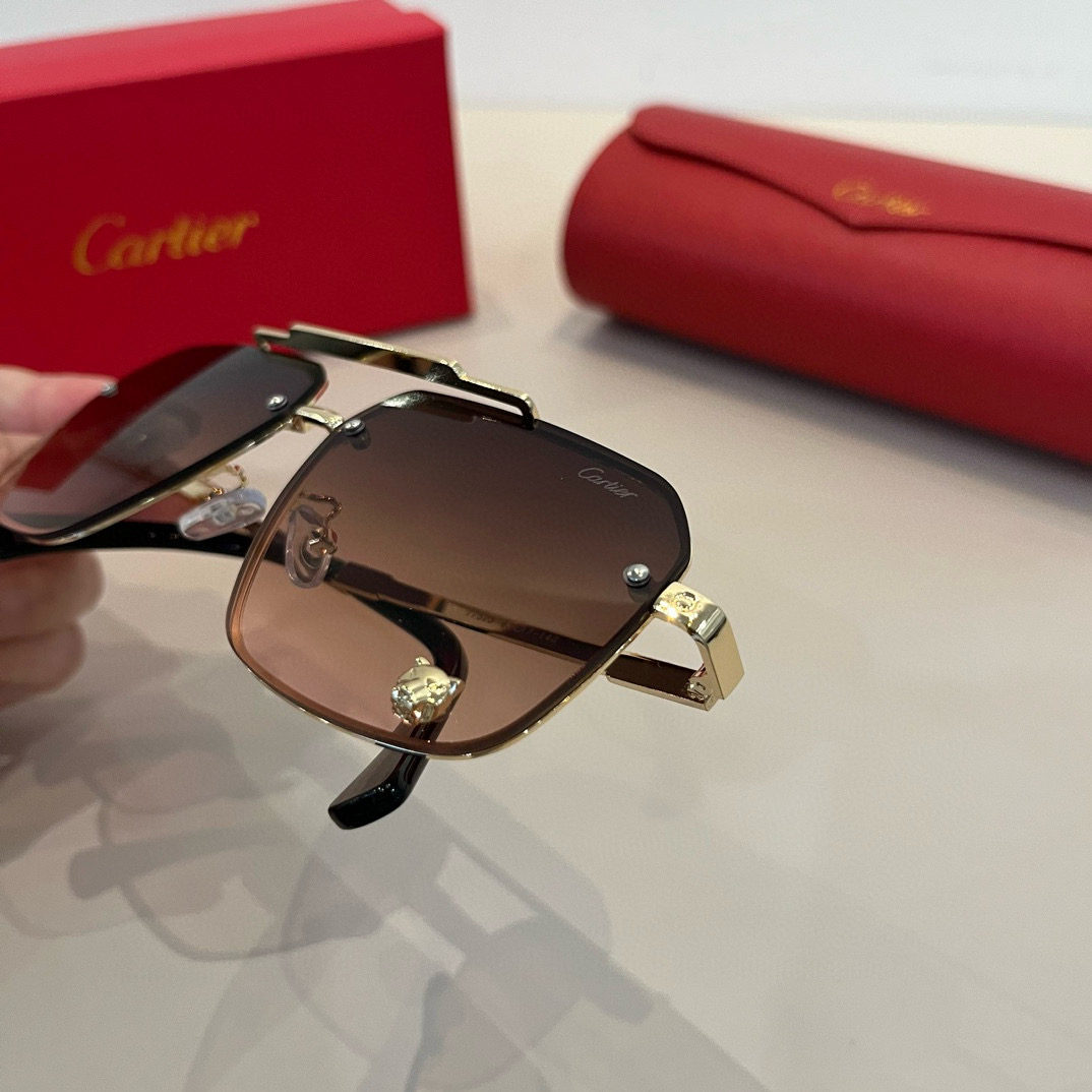 Cartier sunglasses ¥ — photo 6