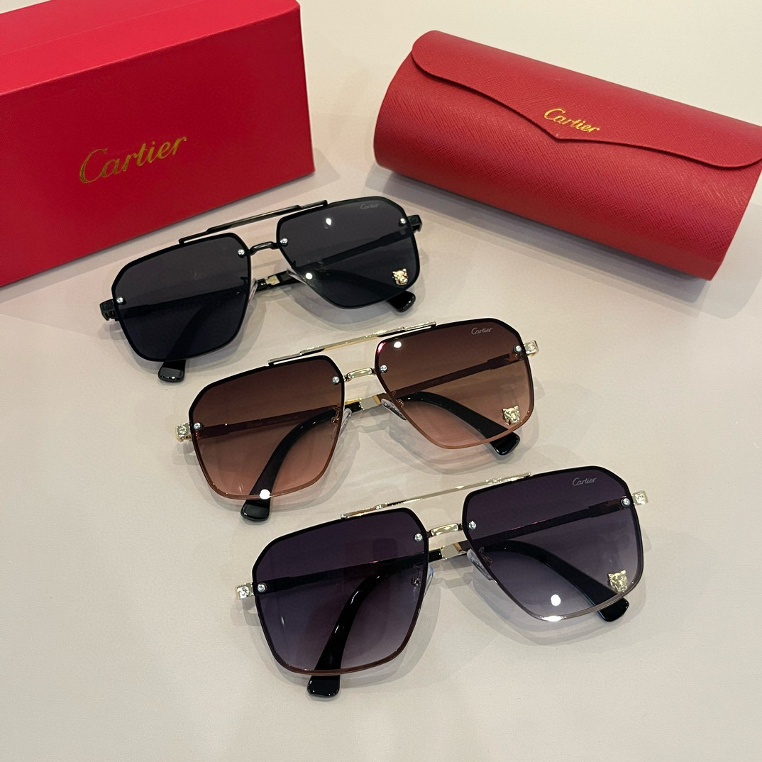 Cartier sunglasses ¥ — photo 12