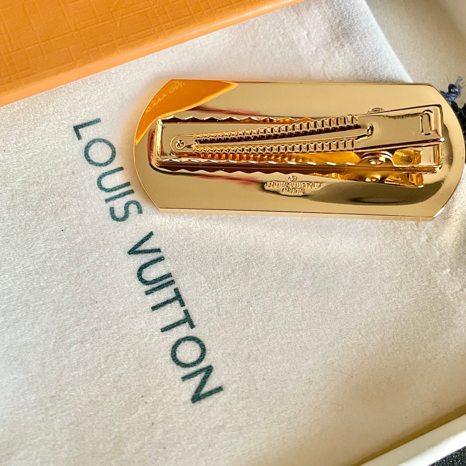 ♪ 213 LV ♪ CLASSIC OLD HAIR CLIP - 图片 7