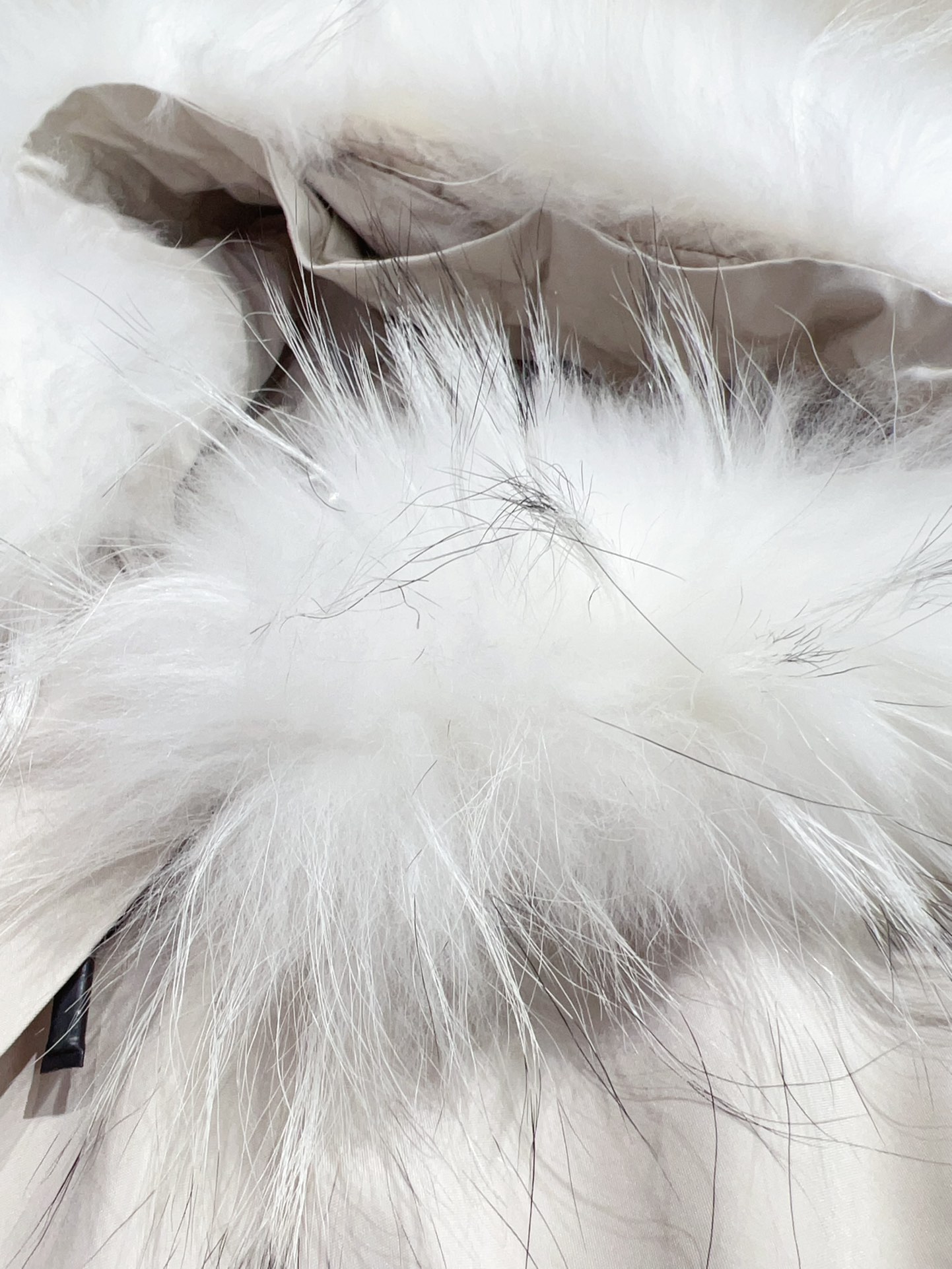 “Moncler Women’s Suit with Dust Bag and Tweezer for Winter Rabbit Hair Removal” - 图片 8