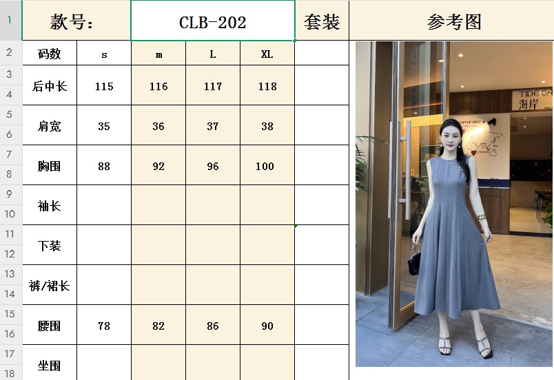 French-Style Dress and CD-ROM Support in US Market for Sandro Dorky - 图片 7