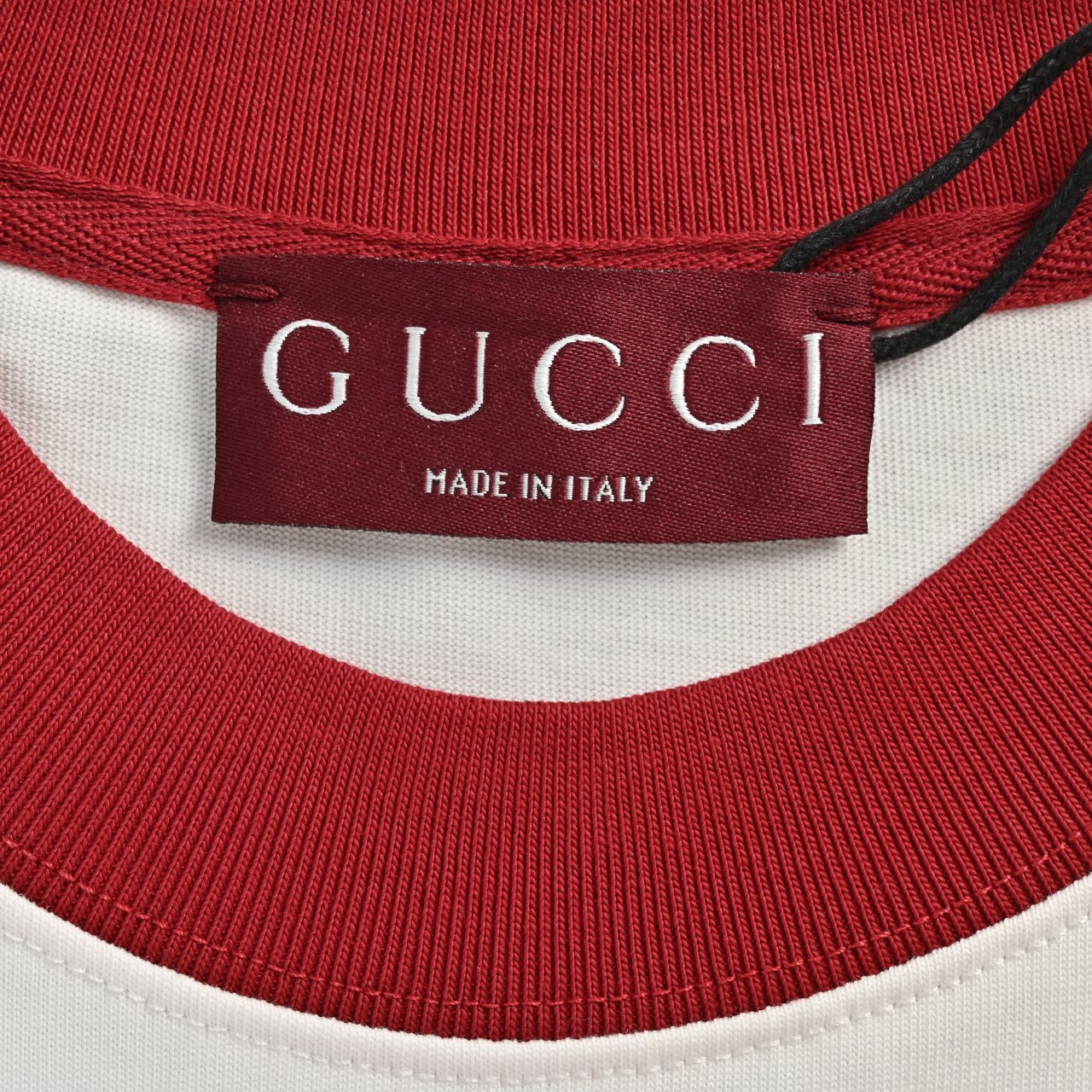 GUcci 古驰 2025SS 蛇年限定款 小蓝蛇印花 红色螺纹领口