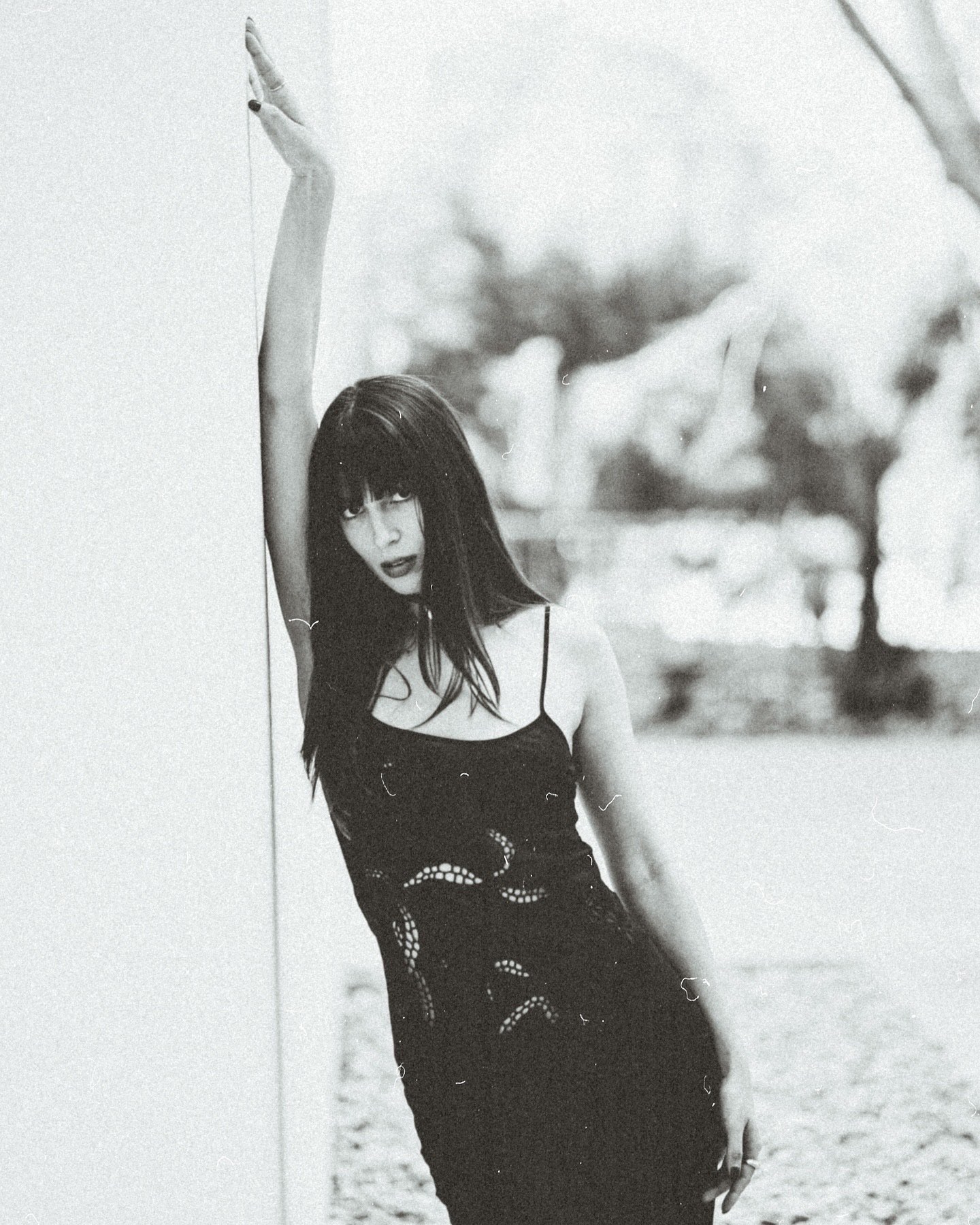 Zimmerman A corner of blank space makes a scenery of its own