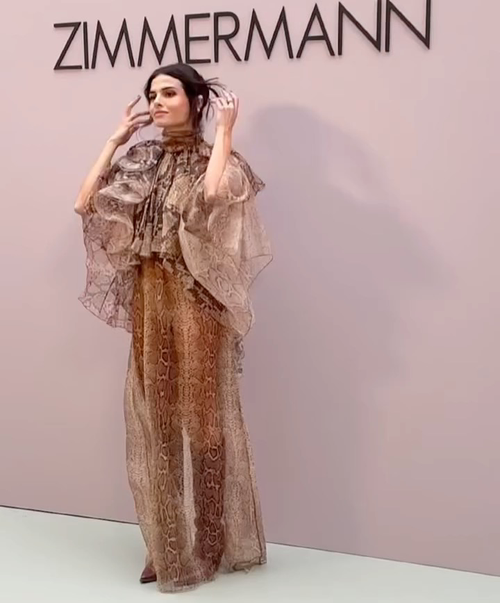 Zimmermann Dress Brown/Beige