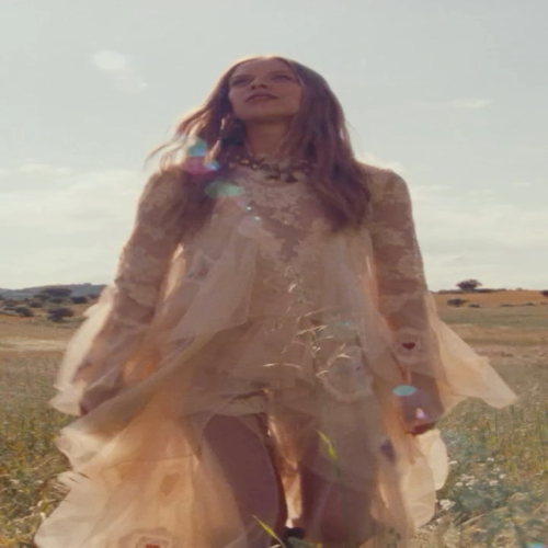 Zimmerman The nude apricot lace tulle dress stretches in the wilderness wind