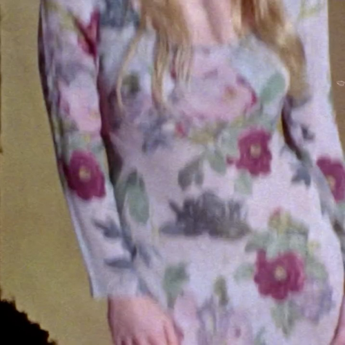 Zimmerman Flowers are hidden in the fabric