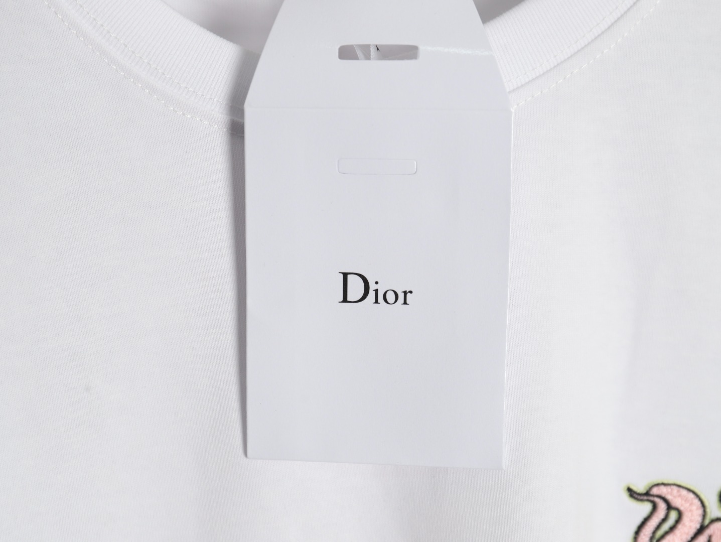 Dior/迪奥 cd 25ss 蛇年限定刺绣短袖