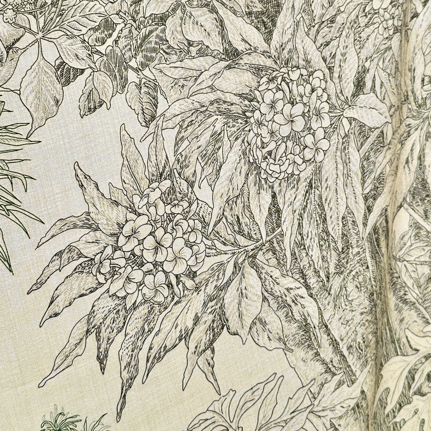 【双面同色 丝毛款】羊绒新款 买了都说好看‼️推荐💕【巴勒莫植物园 140】羊绒方巾‼️H家ZG爆款🎁💟