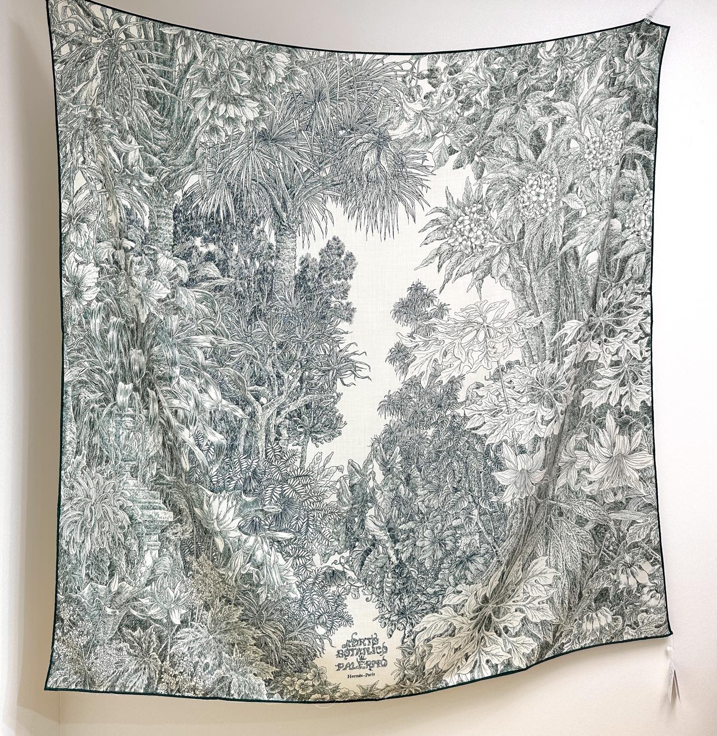 【双面同色 丝毛款】羊绒新款 买了都说好看‼️推荐💕【巴勒莫植物园 140】羊绒方巾‼️H家ZG爆款🎁💟