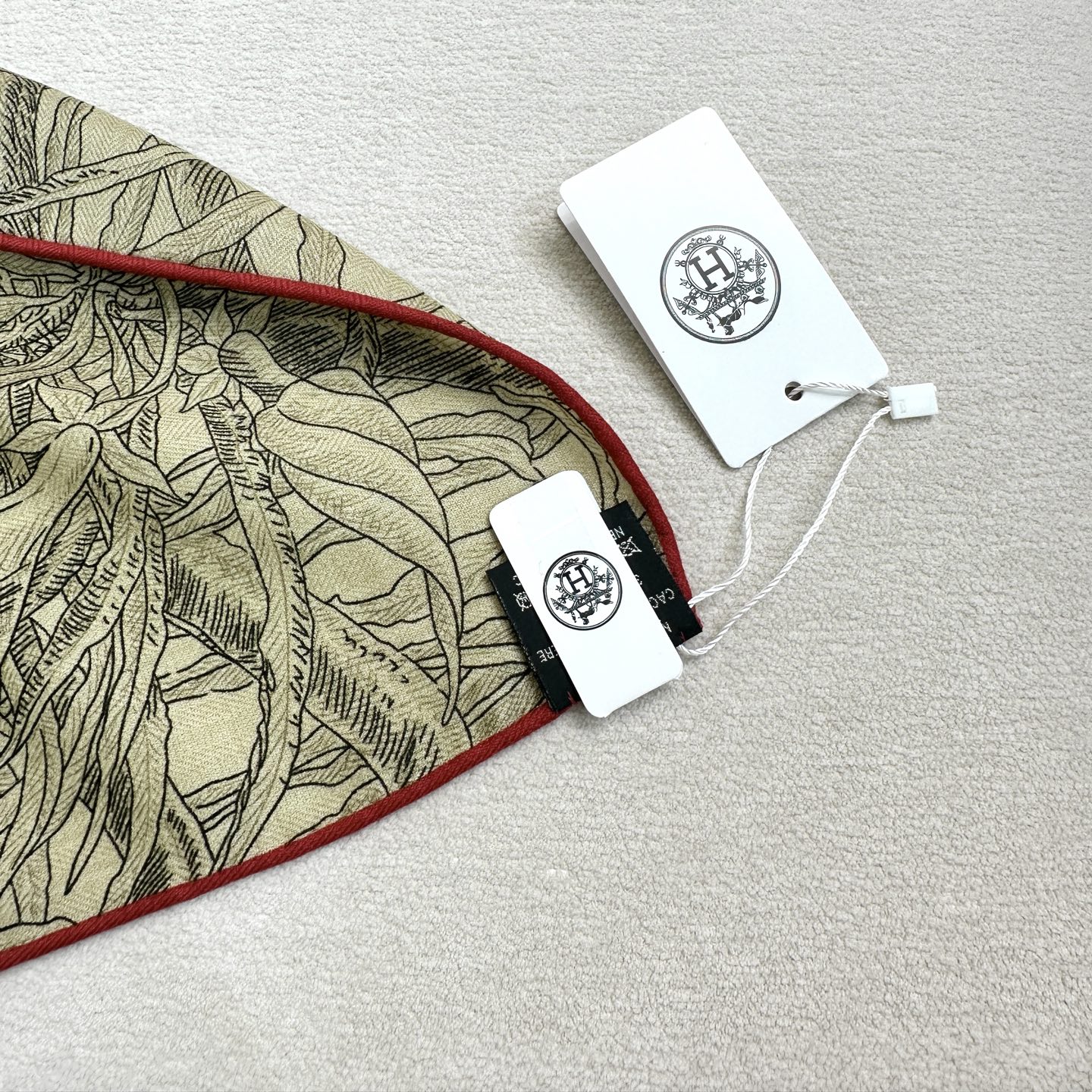 【双面同色 丝毛款】羊绒新款 买了都说好看‼️推荐💕【巴勒莫植物园 140】羊绒方巾‼️H家ZG爆款🎁💟