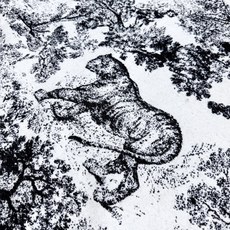 🆕 ✔️(动物方巾)重磅推荐‼️正品❗️CD动物印花大方巾❗️围巾披肩毛毯三用,超级惊艳的一款!百分百保真!超唯美的一款 🆕 ✔️(动物方巾)重磅推荐‼️正品❗️CD动物印花大方巾❗️围巾披肩毛毯三用,超级惊艳的一款!百分百保真!超唯美的一款