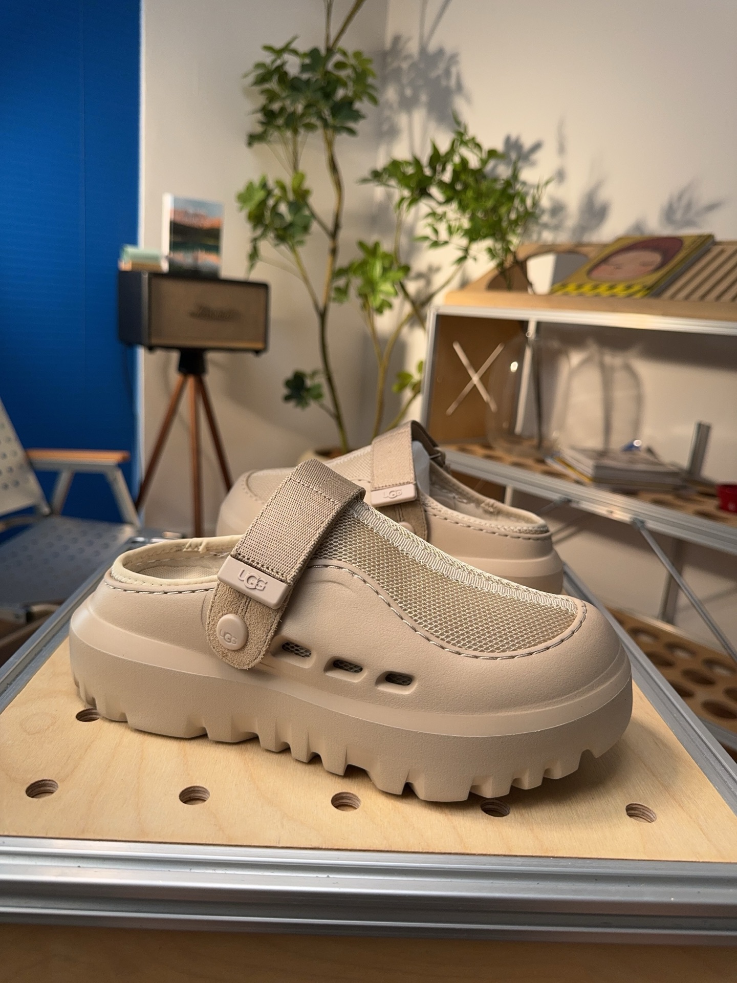 Miniatura 6