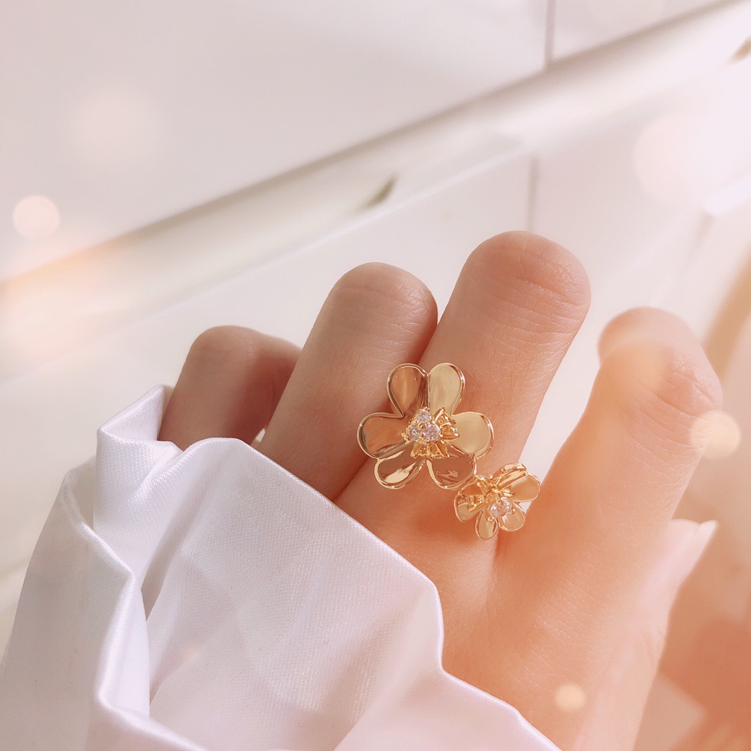 Balenciaga Van Cleef & Arpels