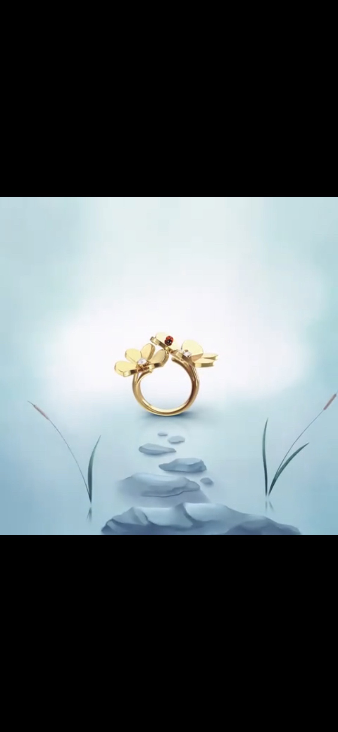 Balenciaga Van Cleef & Arpels