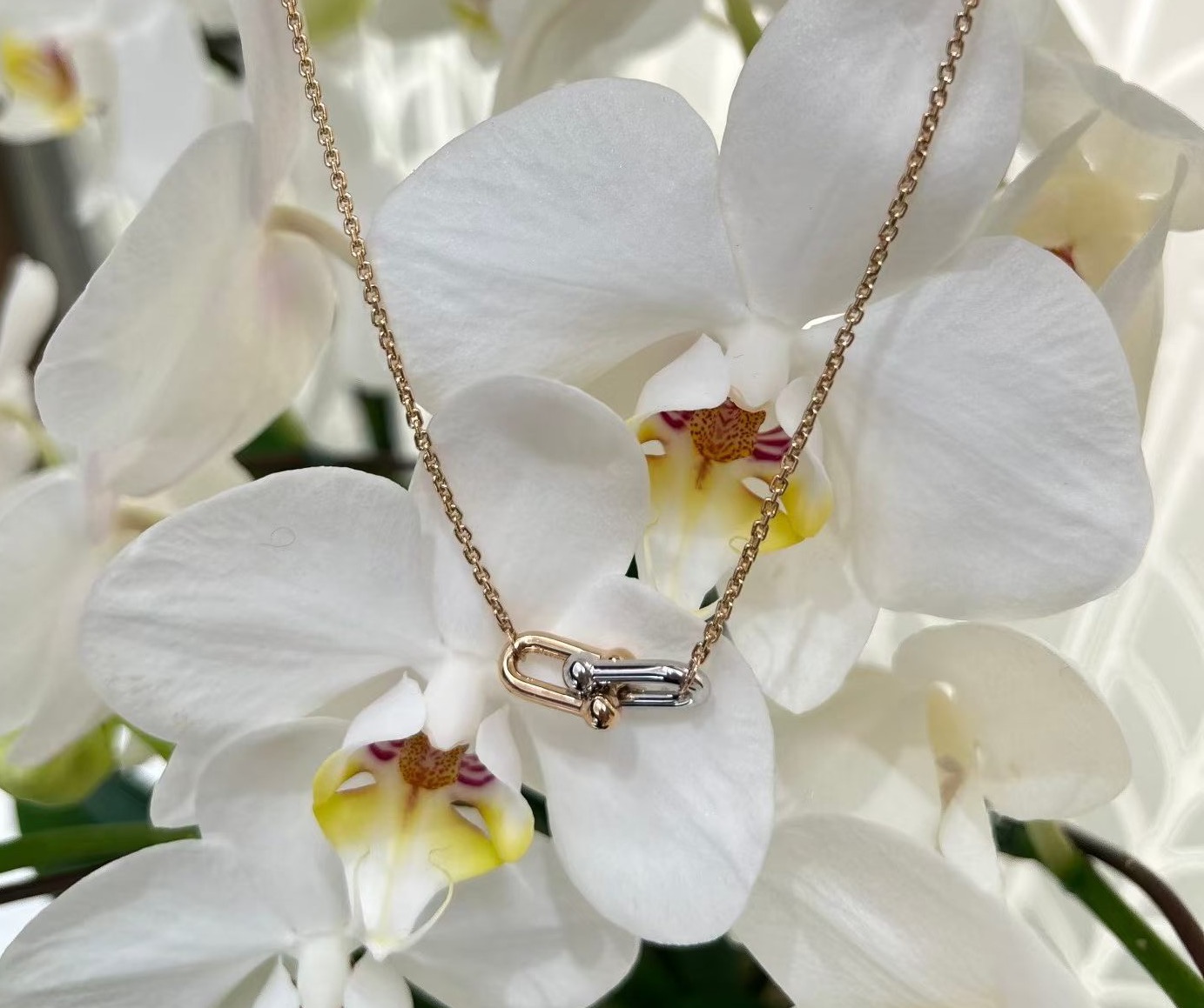 分色蒂芙尼🆕👼【】双T双环项链   💗 亚金材质 电镀18k 精工高版本 Tiffany HardWea