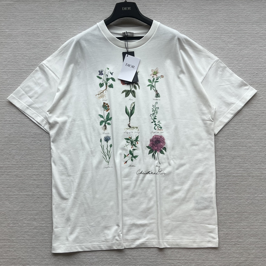 Dior Kleidung T-Shirt Drucken Frühling/Sommer Kollektion Kurzarm