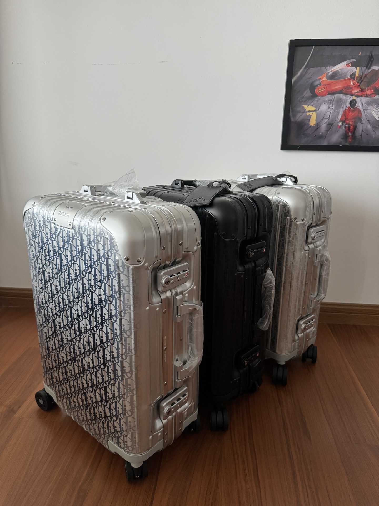 Dior x Rimowa suitcase Silver Black Oblique travel