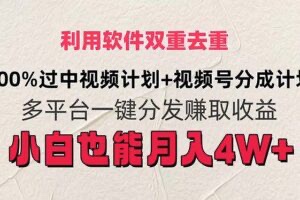 【网赚上新】095.利用软件双重去重，100%过中视频+视频号分成计划小白也可以月入4W+