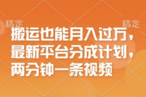 【网赚上新】098.搬运也能月入过万，最新平台分成计划，一万播放一百米，一分钟一个作品