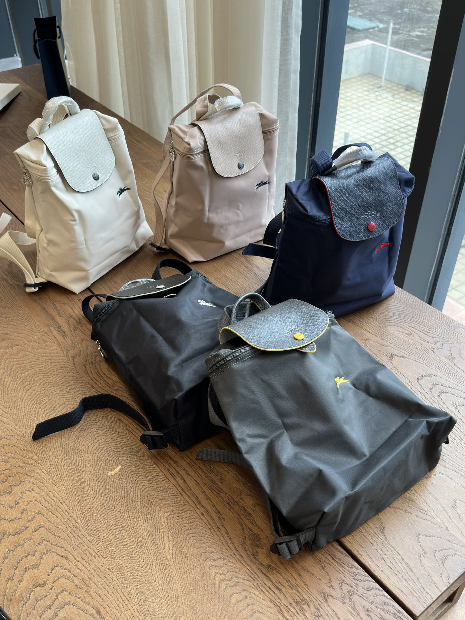 Longchamp Backpack - Comprehensive 7