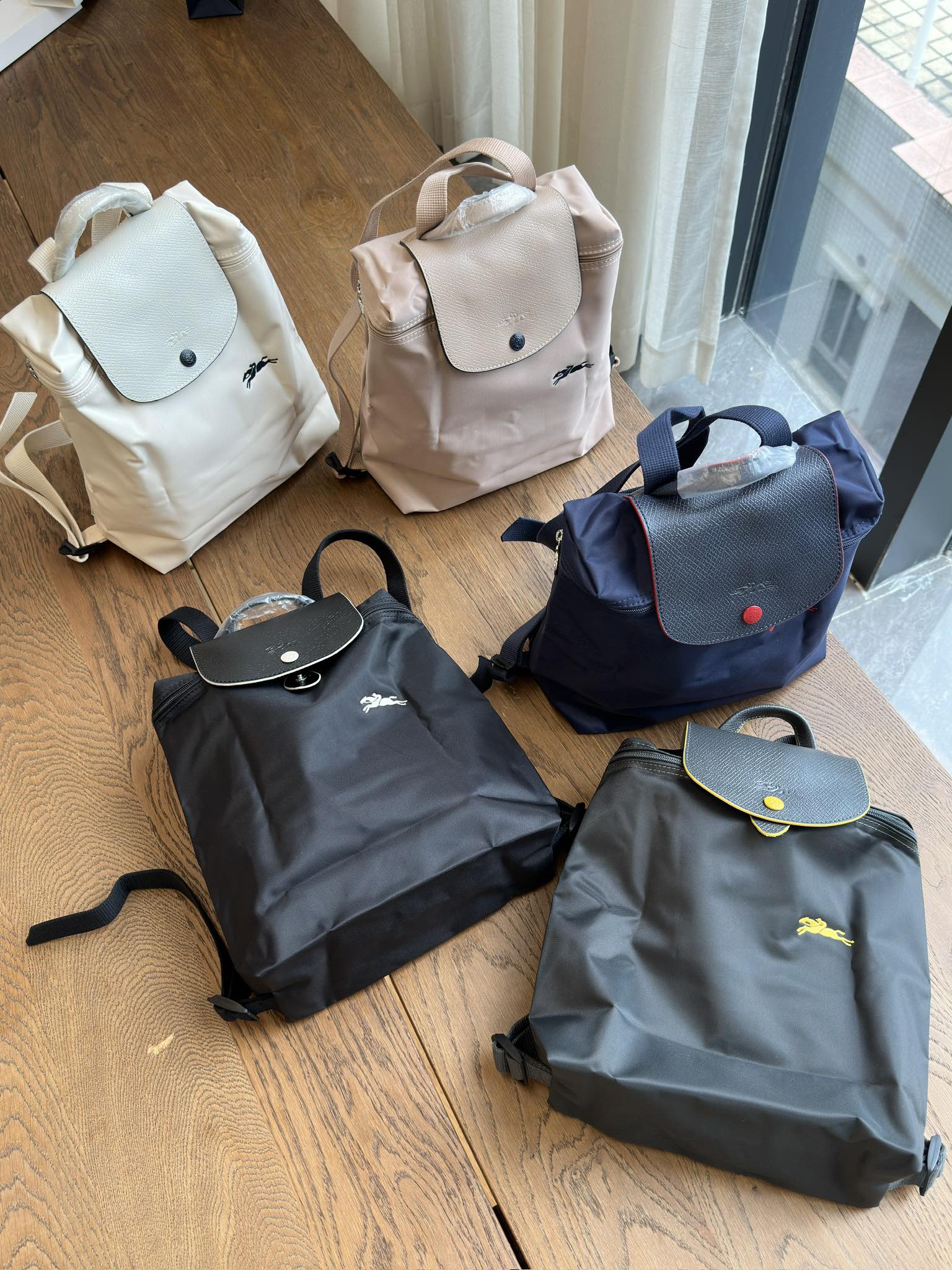 Longchamp Backpack - Comprehensive 5