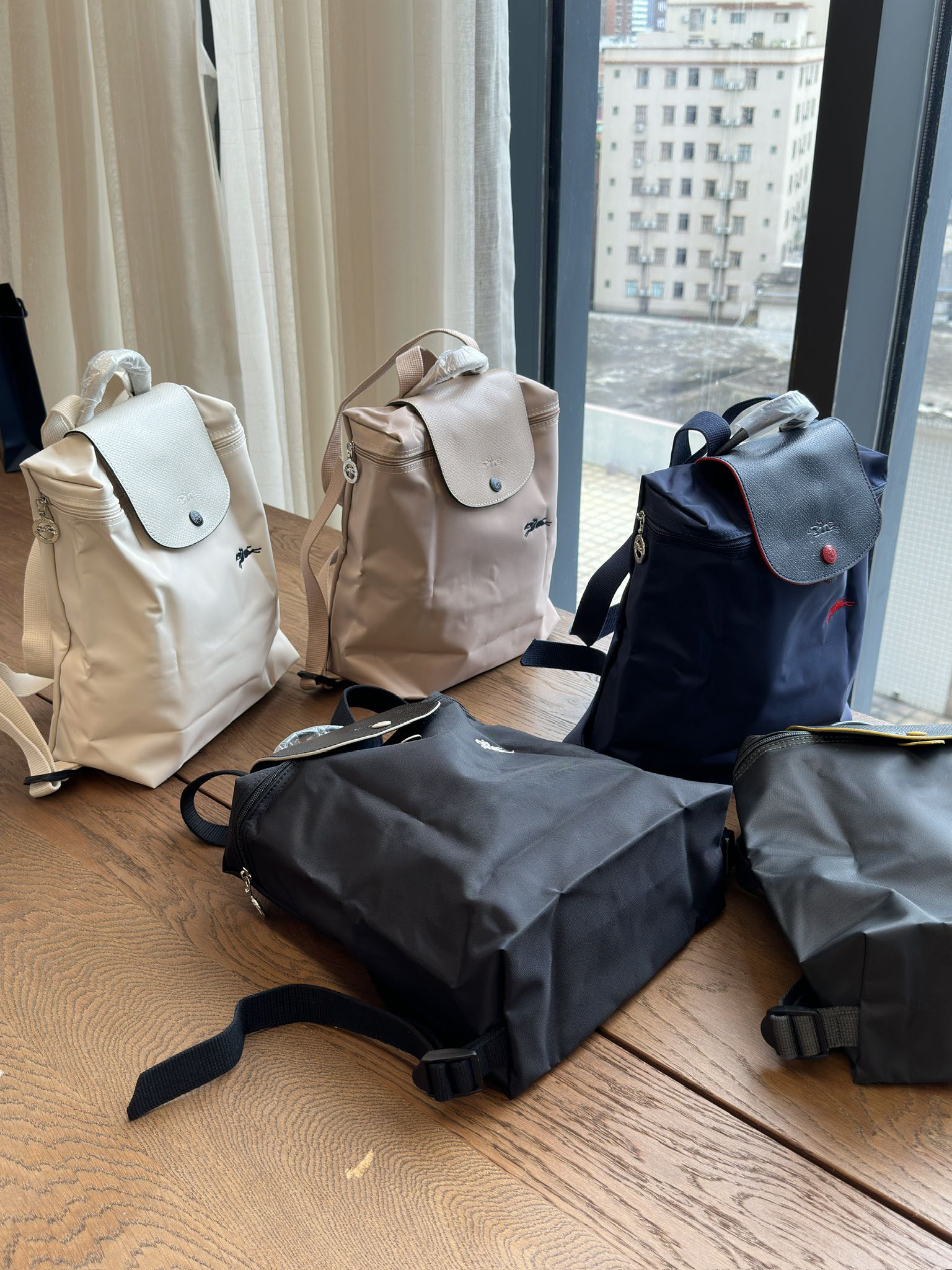 Longchamp Backpack - Comprehensive 6
