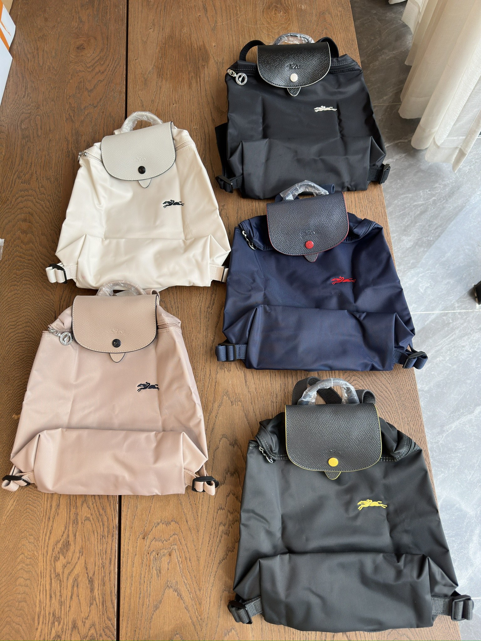 Longchamp Backpack - Comprehensive 8