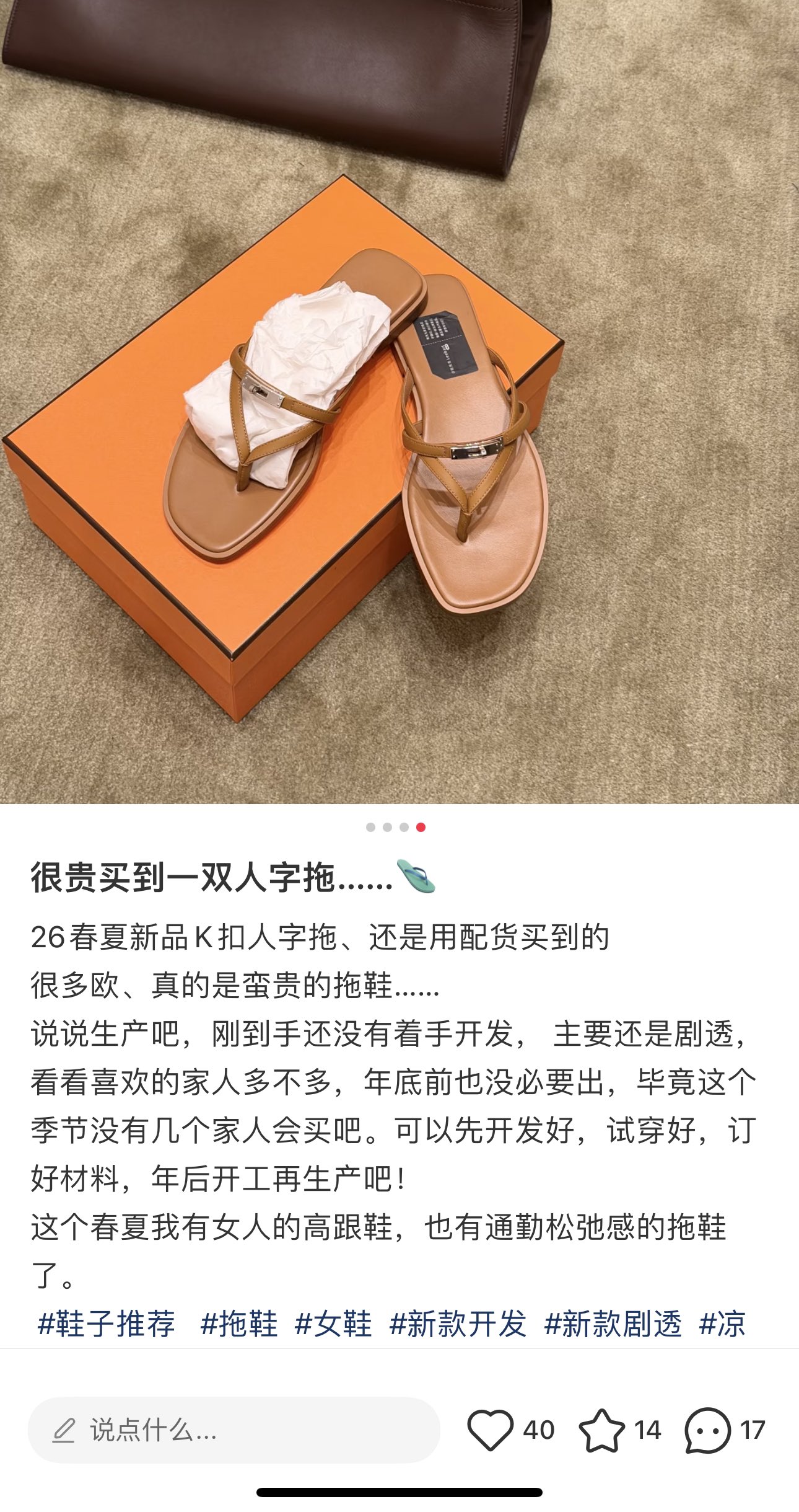 Hermès Miss (Golden brown)