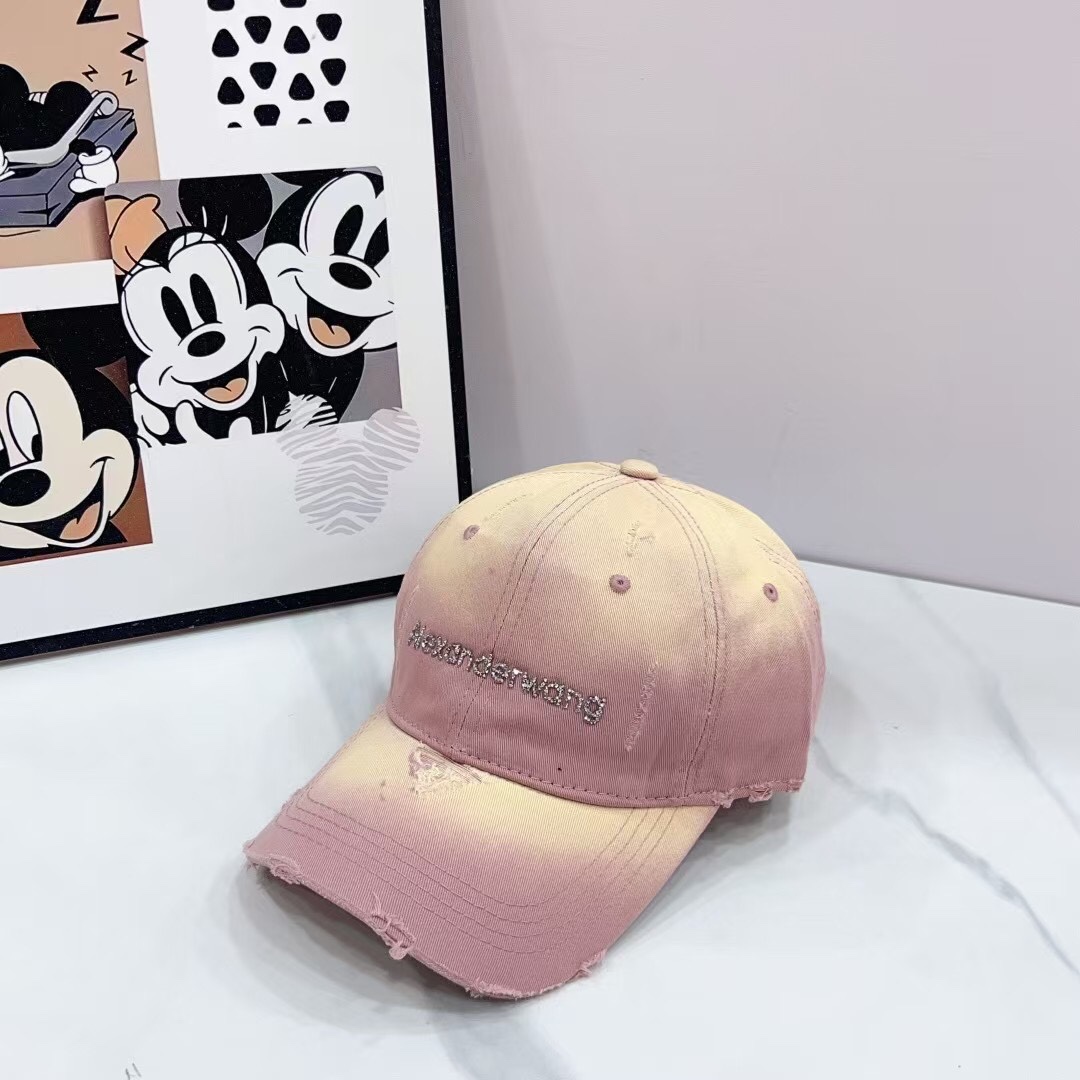🎀Wang大王棒球帽🧢