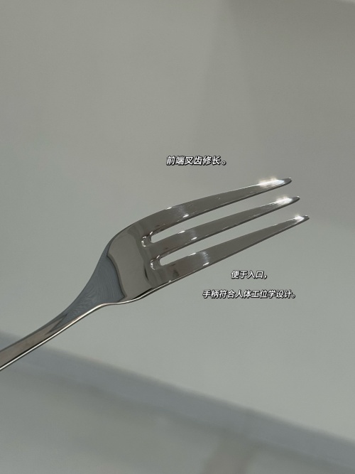 Cromargan Stainless Steel Steak Fork - German-Made, Polished Finish 1 Cromargan Stainless Steel Steak Fork - German-Made, Polished Finish