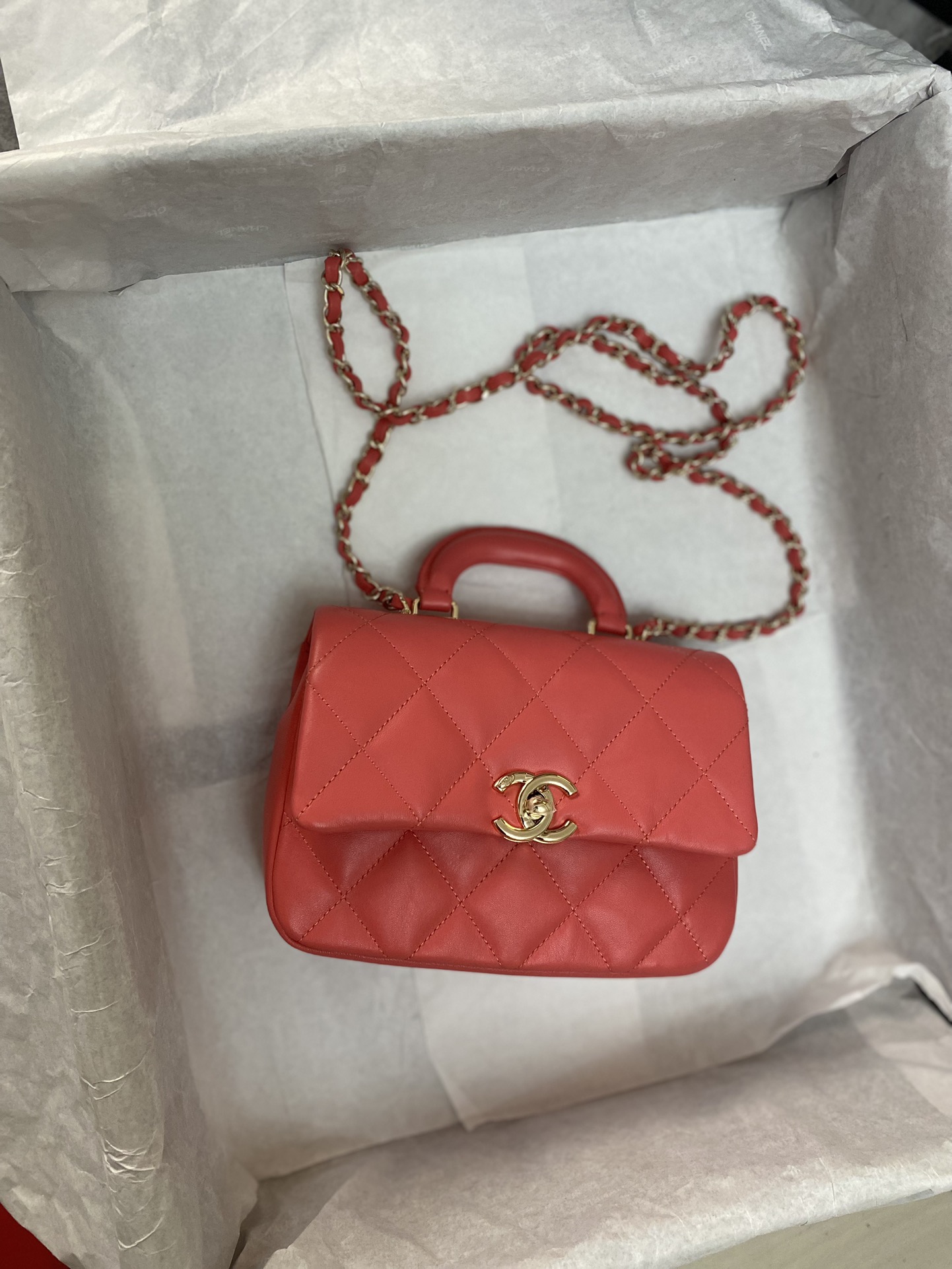 Chanel Luxury Handbag Collection 3