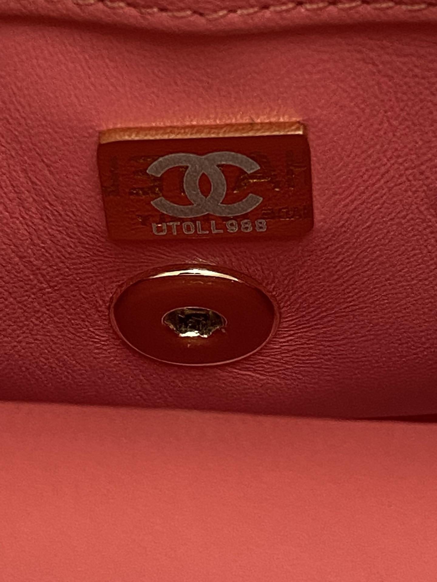 Chanel Luxury Handbag Collection 9
